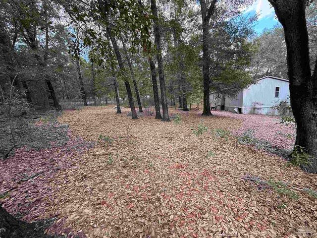 3928 Reinhardt Village Rd, Milton, FL 32583