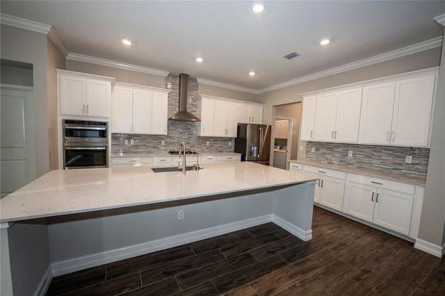 21397 SNOWY ORCHID TERRACE, Land O Lakes, FL 34637