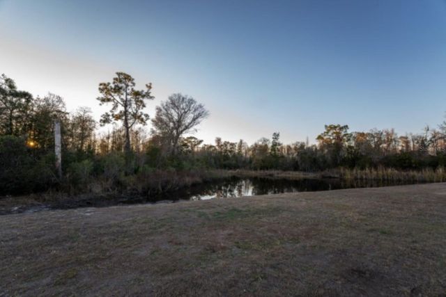 21397 SNOWY ORCHID TERRACE, Land O Lakes, FL 34637