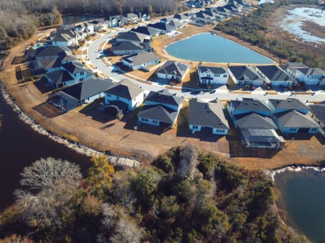 21397 SNOWY ORCHID TERRACE, Land O Lakes, FL 34637