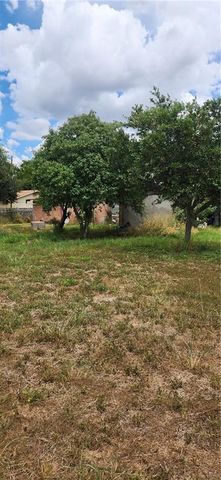 5901 N Sugar Road, Pharr, TX 78577