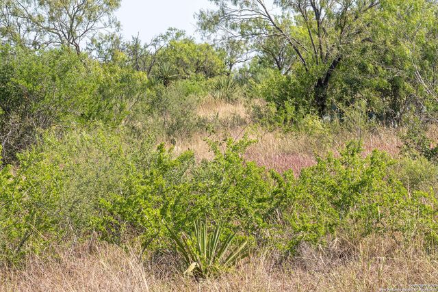 3285 Pittman Rd, St Hedwig, TX 78152