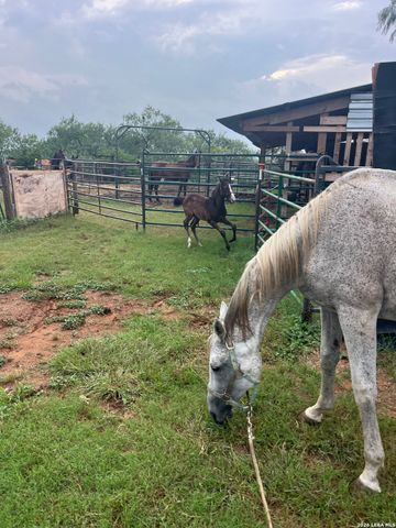 3285 Pittman Rd, St Hedwig, TX 78152