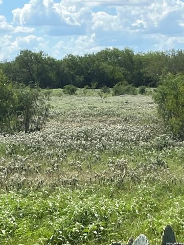 3285 Pittman Rd, St Hedwig, TX 78152