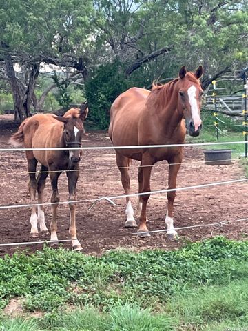 3285 Pittman Rd, St Hedwig, TX 78152