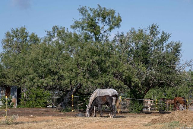 3285 Pittman Rd, St Hedwig, TX 78152