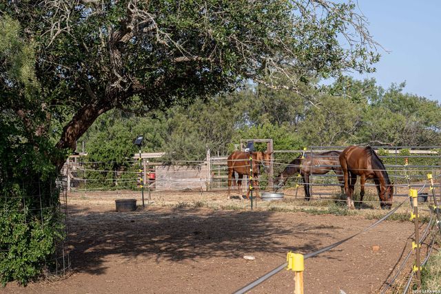 3285 Pittman Rd, St Hedwig, TX 78152