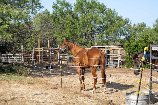 3285 Pittman Rd, St Hedwig, TX 78152