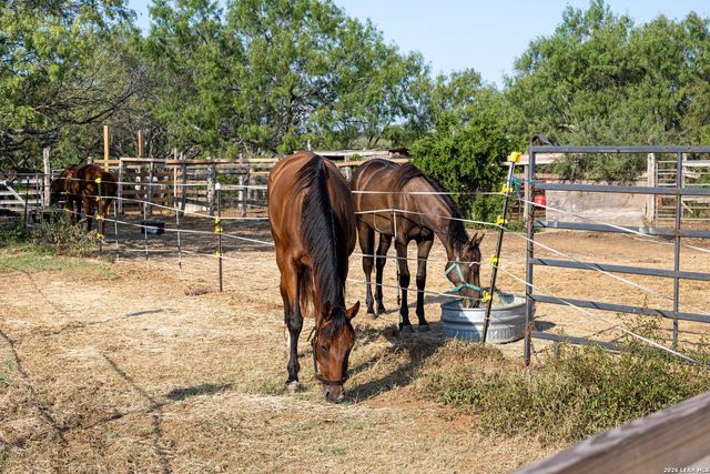 3285 Pittman Rd, St Hedwig, TX 78152