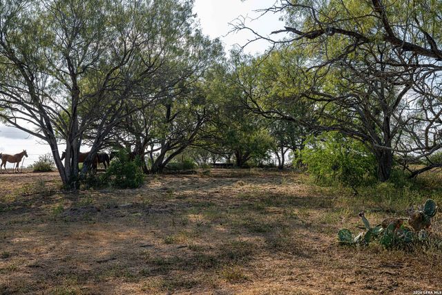 3285 Pittman Rd, St Hedwig, TX 78152