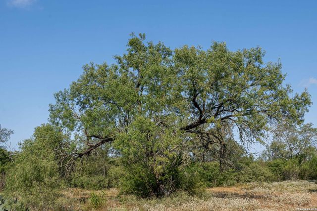 3285 Pittman Rd, St Hedwig, TX 78152