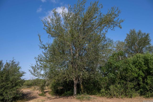 3285 Pittman Rd, St Hedwig, TX 78152