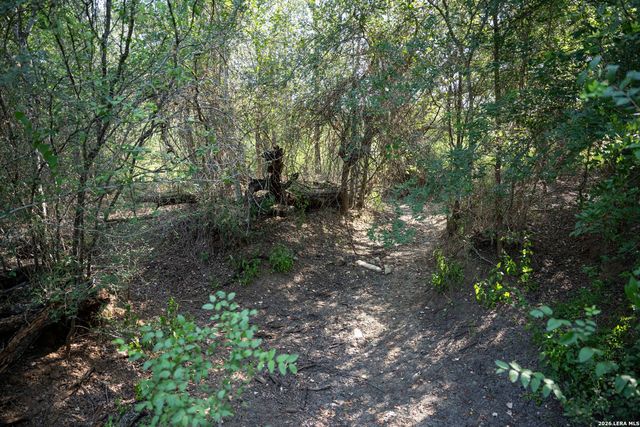 3285 Pittman Rd, St Hedwig, TX 78152