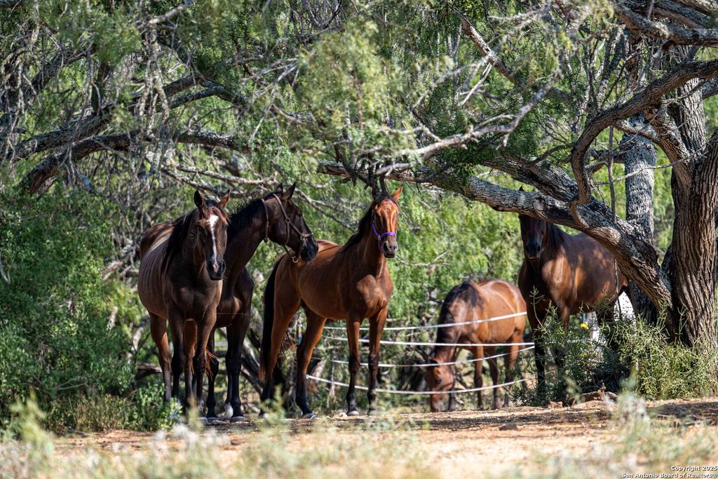 3285 Pittman Rd, St Hedwig, TX 78152