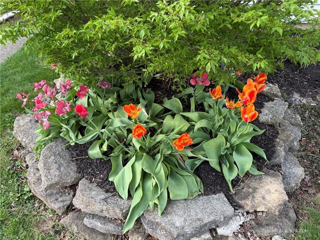 61 Martha Avenue, Centerville, OH 45458