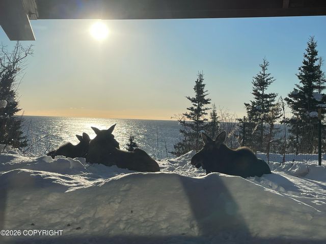 1517 Toyon Way, Kenai, AK 99611