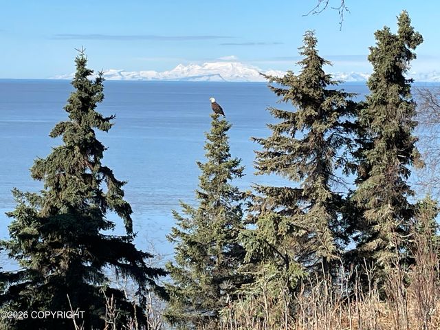 1517 Toyon Way, Kenai, AK 99611