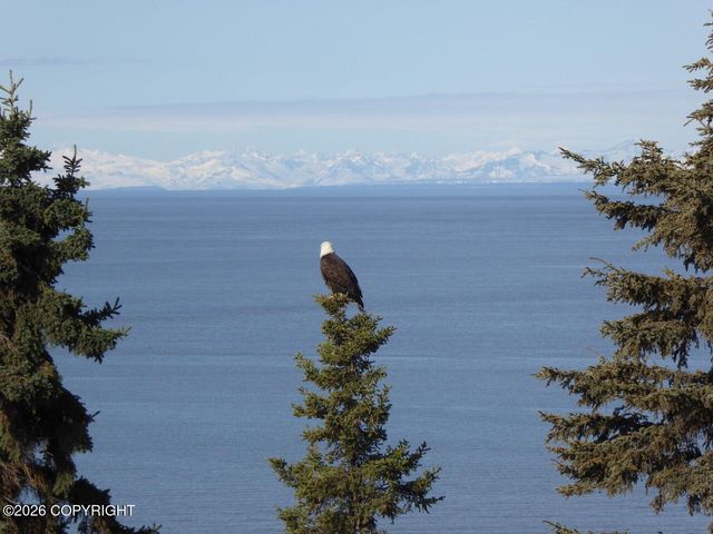 1517 Toyon Way, Kenai, AK 99611