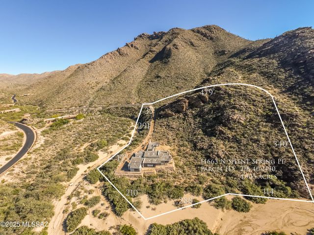 14663 N Silent Spring Place, Marana, AZ 85658