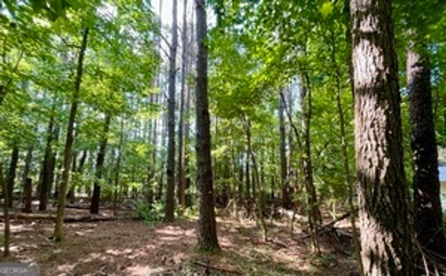 337 Cowan Road, Covington, GA 30016