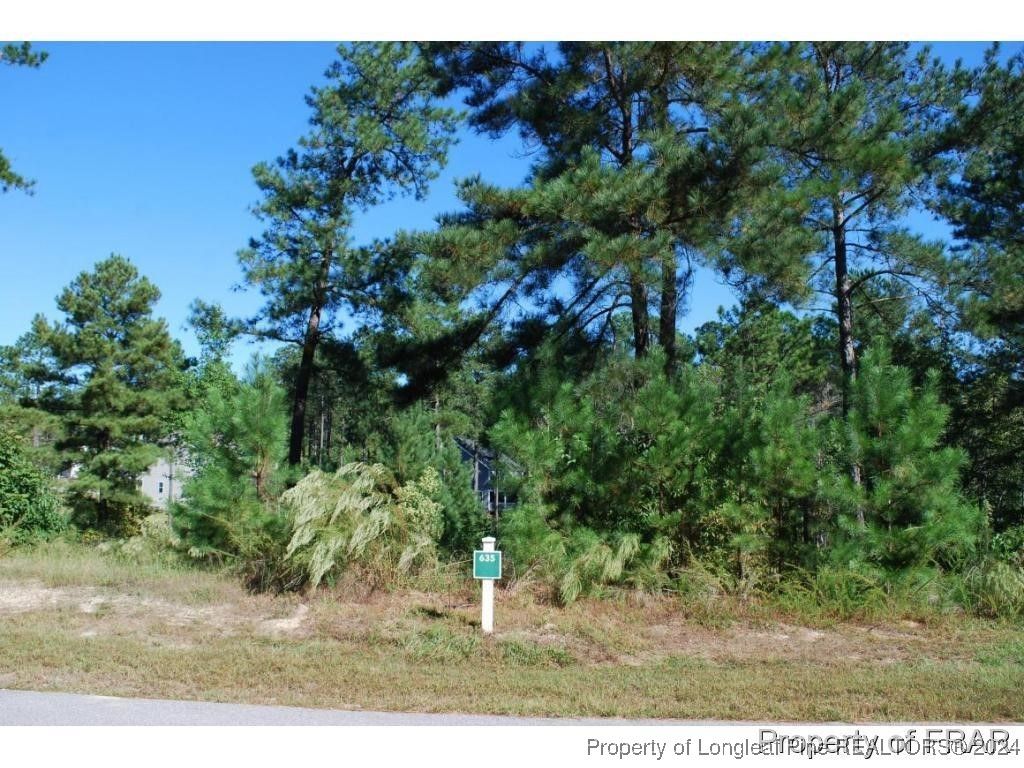 152 Broadlake (635) Lane, Spring Lake, NC 28390 — exterior