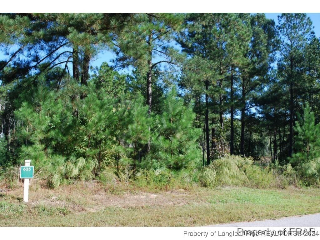 152 Broadlake (635) Lane, Spring Lake, NC 28390 — photo 2