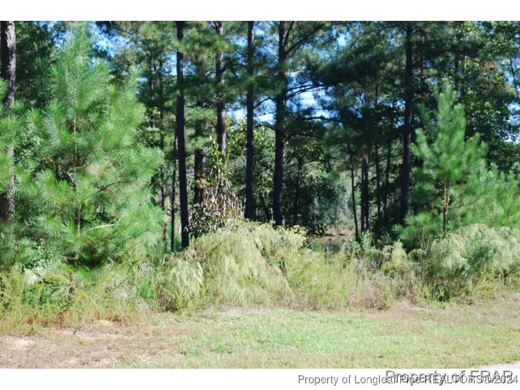 152 Broadlake (635) Lane, Spring Lake, NC 28390 — photo 3