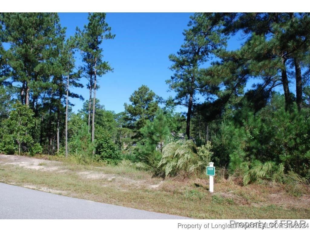 152 Broadlake (635) Lane, Spring Lake, NC 28390 — photo 4