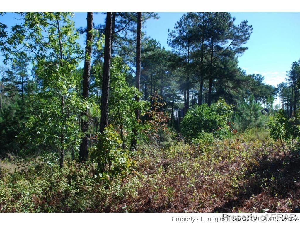 152 Broadlake (635) Lane, Spring Lake, NC 28390 — photo 5