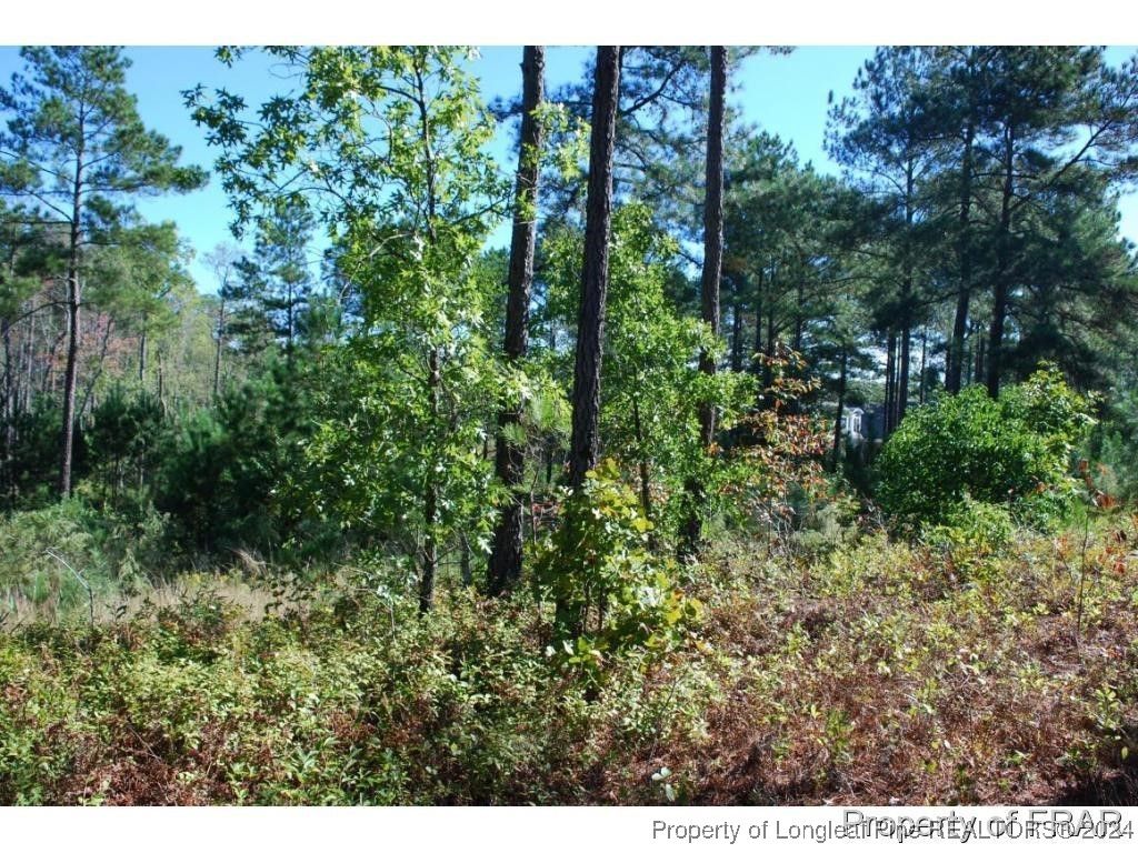152 Broadlake (635) Lane, Spring Lake, NC 28390 — photo 6