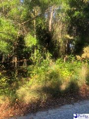 2440 S Robeson Ave, Florence, SC 29505