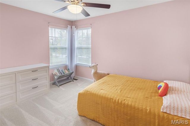 3944 Appaloosa Drive, Swansea, IL 62226