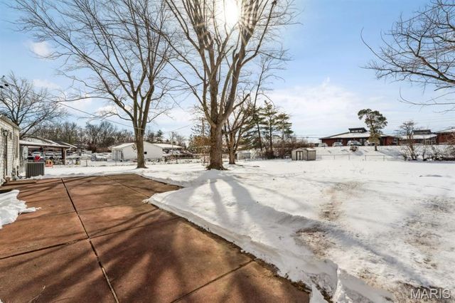 10008 Meadowfield Lane, St Louis, MO 63128