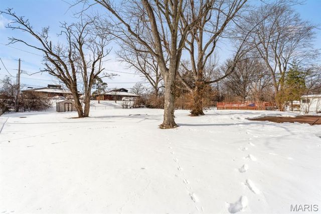 10008 Meadowfield Lane, St Louis, MO 63128