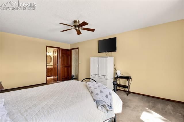 1055 Point of the Pines Drive, Colorado Springs, CO 80919