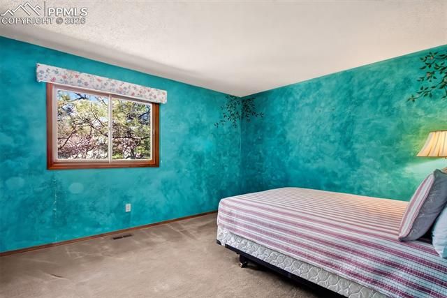 1055 Point of the Pines Drive, Colorado Springs, CO 80919