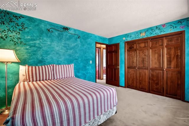 1055 Point of the Pines Drive, Colorado Springs, CO 80919