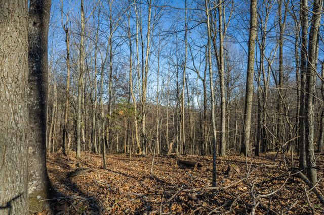 2149 Talley Rd, Belfast, TN 37019