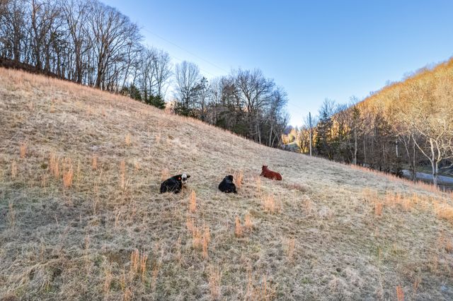 2149 Talley Rd, Belfast, TN 37019