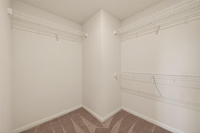 21218 Echo Manor Drive, Hockley, TX 77447