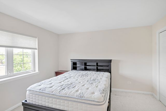 59 S Hale Street 402, Palatine, IL 60067