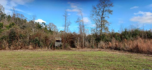 TBD-Tract 1 Gilead Rd, Clinton, LA 70722