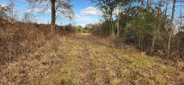 TBD-Tract 1 Gilead Rd, Clinton, LA 70722
