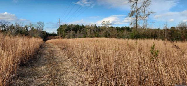 TBD-Tract 1 Gilead Rd, Clinton, LA 70722