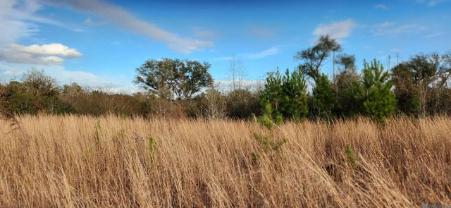 TBD-Tract 1 Gilead Rd, Clinton, LA 70722