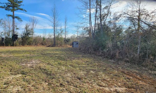 TBD-Tract 1 Gilead Rd, Clinton, LA 70722
