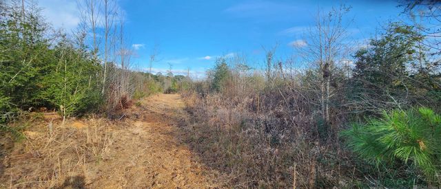 TBD-Tract 1 Gilead Rd, Clinton, LA 70722