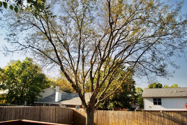 1712 Huntsman Court, Lexington, KY 40515