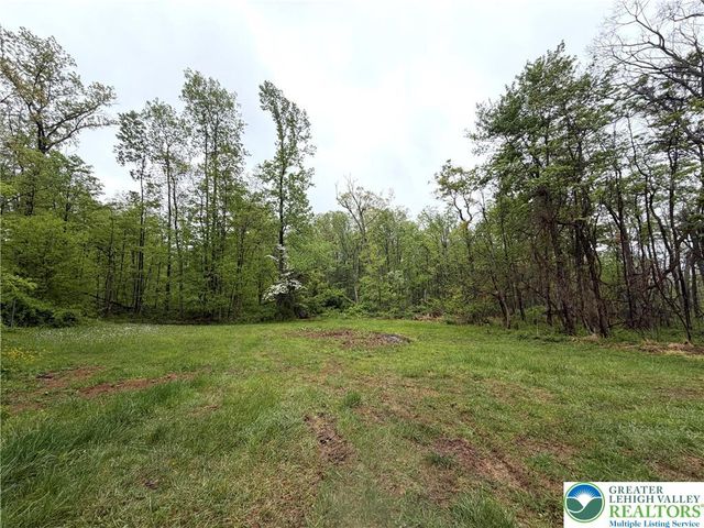 318 Marienstein Road, Nockamixon Twp, PA 18972