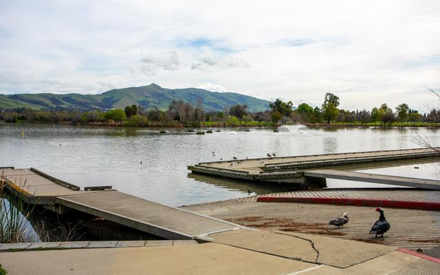 3674 Oakwood Terrace 302, Fremont, CA 94536